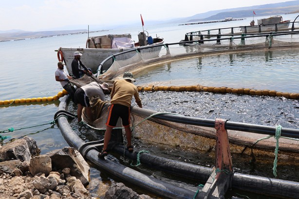 Foto - Su ürünleri yetiştiricilerine verilecek destekler belirlendi