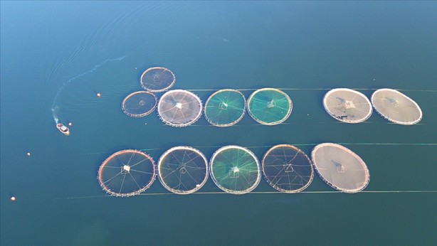 Foto - Su ürünleri yetiştiricilerine verilecek destekler belirlendi