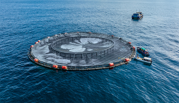 Foto - Su ürünleri yetiştiricilerine verilecek destekler belirlendi