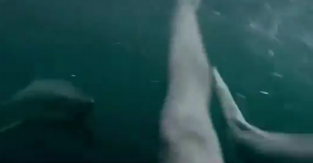 Foto - Suya atlayan adam, aşağıda gördüğü manzara sonrası dehşete düştü! Koşarak hemen karaya kaçtı! İşte o anlar