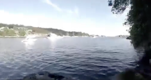 Foto - Suya atlayan adam, aşağıda gördüğü manzara sonrası dehşete düştü! Koşarak hemen karaya kaçtı! İşte o anlar