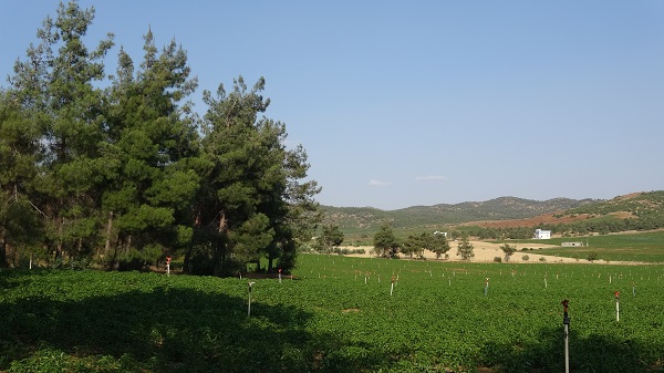 Foto - Suya kavuşan köye göçler başladı