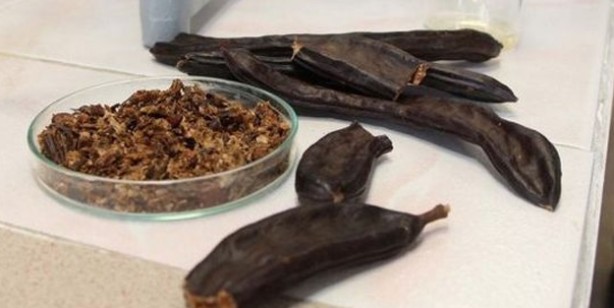 Suya keçiboynuzu koyun ve 2 ay boyunca için: Birçok derde deva! Nasıl yapılır, gereken malzemeler neler?