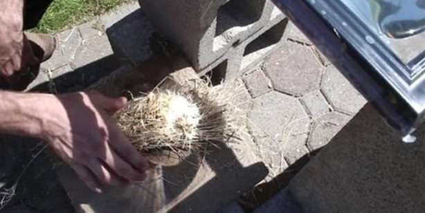 Foto - Suyla ateş yakabileceğinizi biliyor muydunuz?