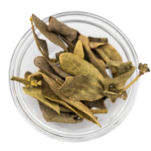 Foto - Suyu böyle içilirse 12-8'e sabitliyor! Türkiye'de yetişiyor: Talep patladı! Yüksek tansiyon için bir numara çıktı!