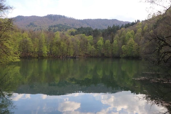 Suyun ve yeşilin buluştuğu nokta: Yedigöller