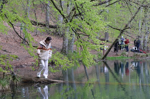 Foto - Suyun ve yeşilin buluştuğu nokta: Yedigöller