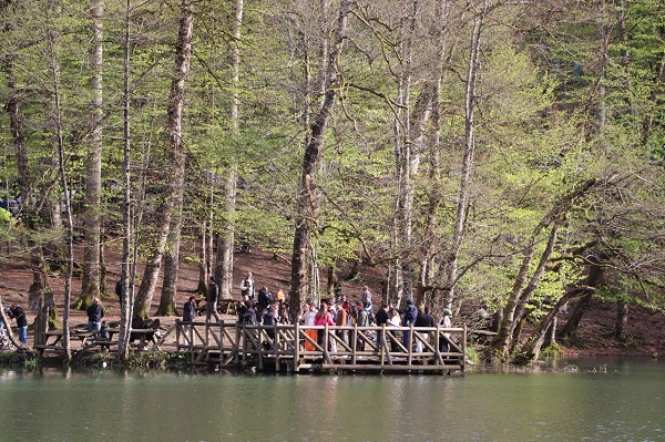 Foto - Suyun ve yeşilin buluştuğu nokta: Yedigöller