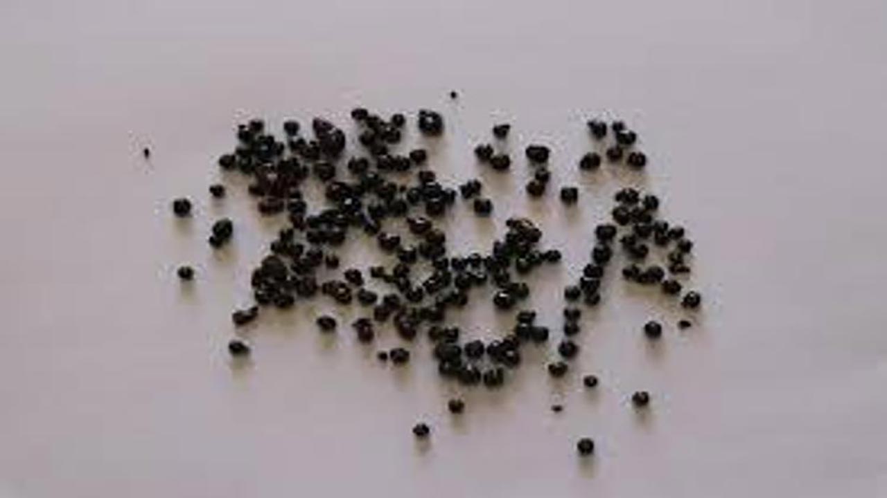 Foto - Suyunu içen bir daha bırakmıyor! Vücuda resmen reset atıyor