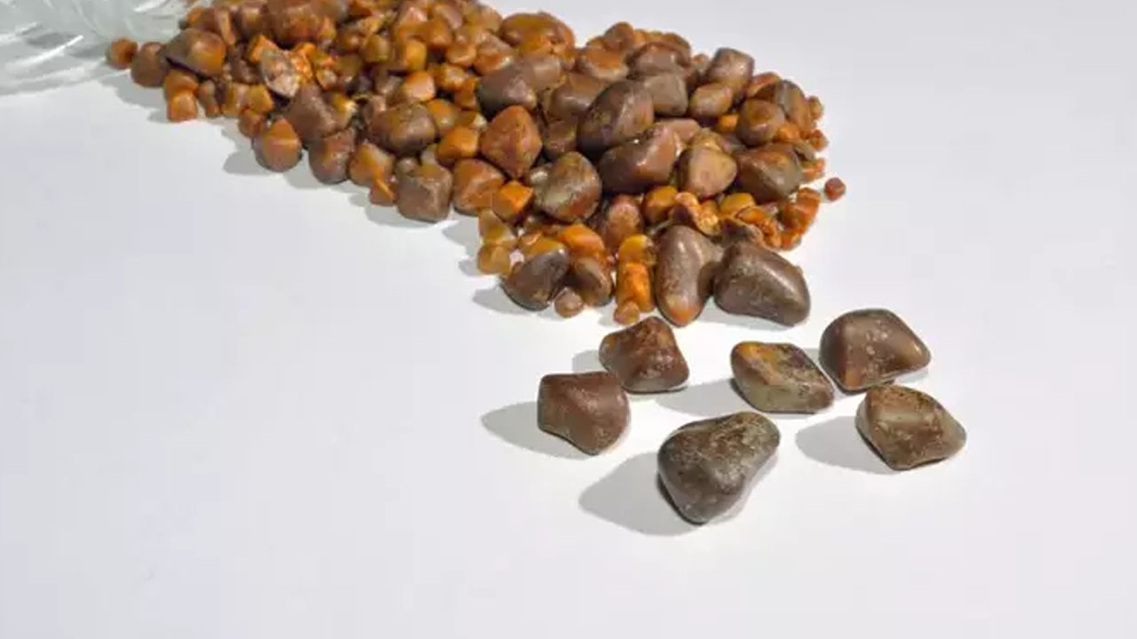 Suyunu sıkıp bardak bardak içince safra kesesi ve karaciğeri temizliyor, vücuda reset atıyor