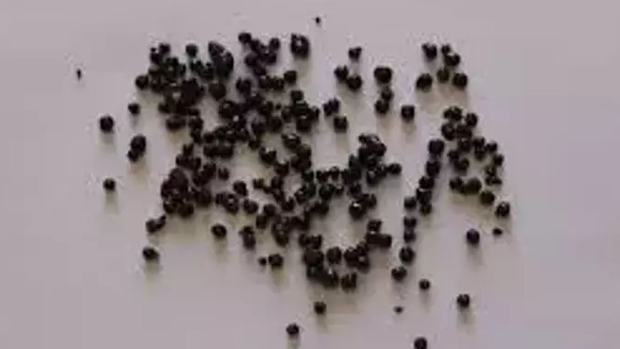 Foto - Suyunu sıkıp bardak bardak içince safra kesesi ve karaciğeri temizliyor, vücuda reset atıyor