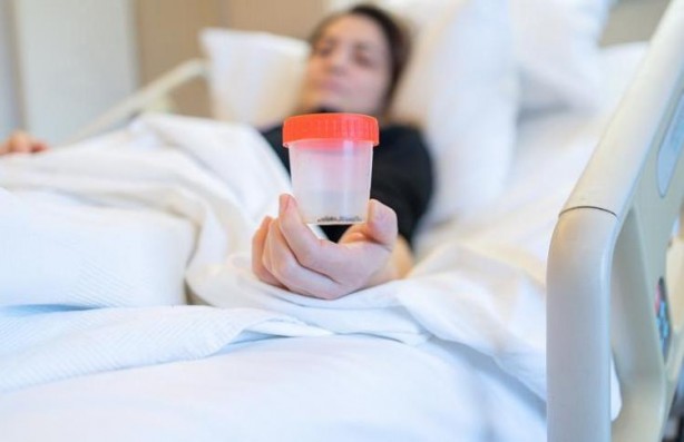 Foto - Suyunu sıkıp bardak bardak içince safra kesesi ve karaciğeri temizliyor, vücuda reset atıyor, Osmanlı padişahlarının kullandığı doğal karışım