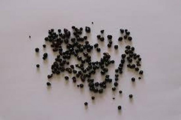 Foto - Suyunu sıkıp bardak bardak içince safra kesesi ve karaciğeri temizliyor, vücuda reset atıyor, Osmanlı padişahlarının kullandığı doğal karışım