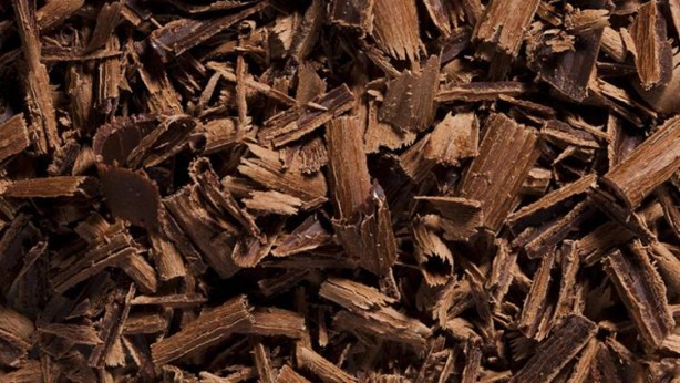 Foto - Çayı saçınızda bekletirseniz bakın ne olur!