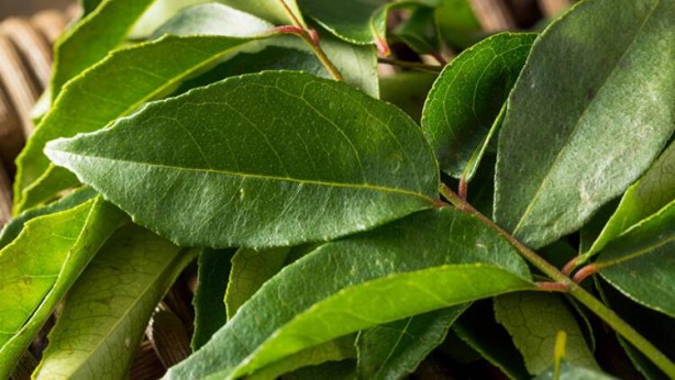 Foto - Çayı saçınızda bekletirseniz bakın ne olur!