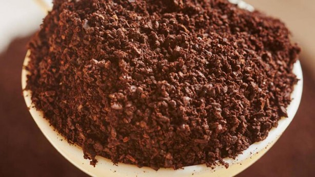 Foto - Çayı saçınızda bekletirseniz bakın ne olur!