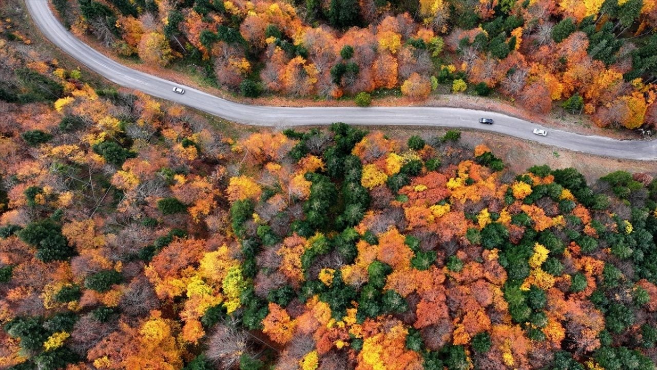 Foto - ‘Tabiatın Kalbi’nde sonbahar güzelliği