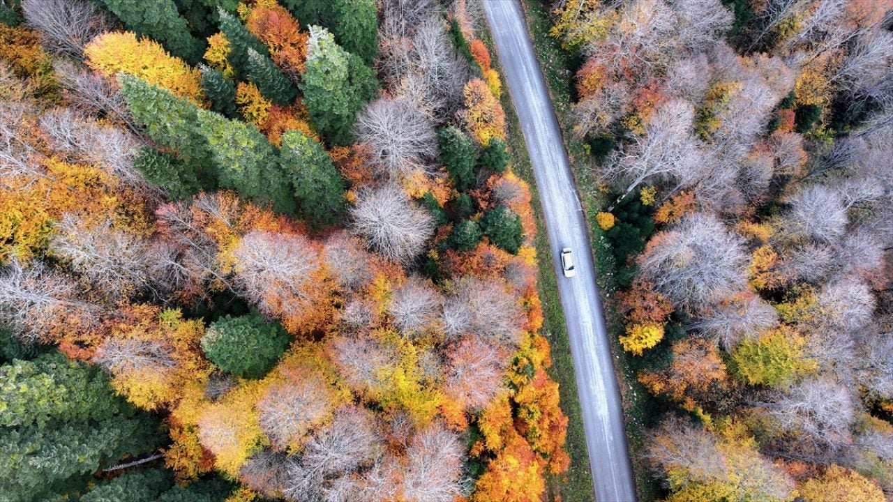 Foto - ‘Tabiatın Kalbi’nde sonbahar güzelliği