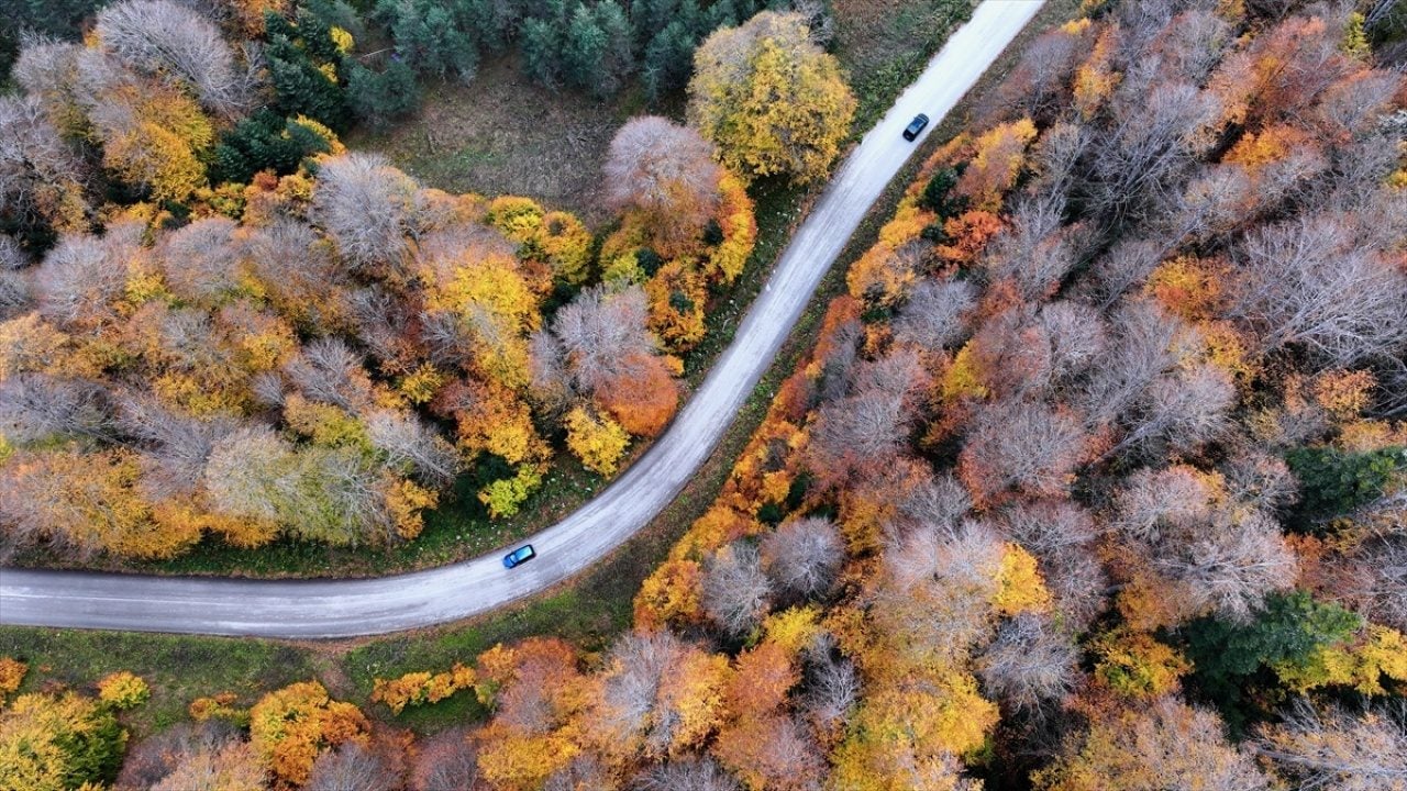 Foto - ‘Tabiatın Kalbi’nde sonbahar güzelliği