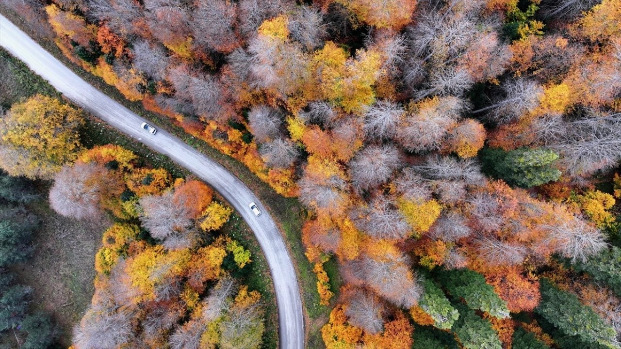 Foto - ‘Tabiatın Kalbi’nde sonbahar güzelliği