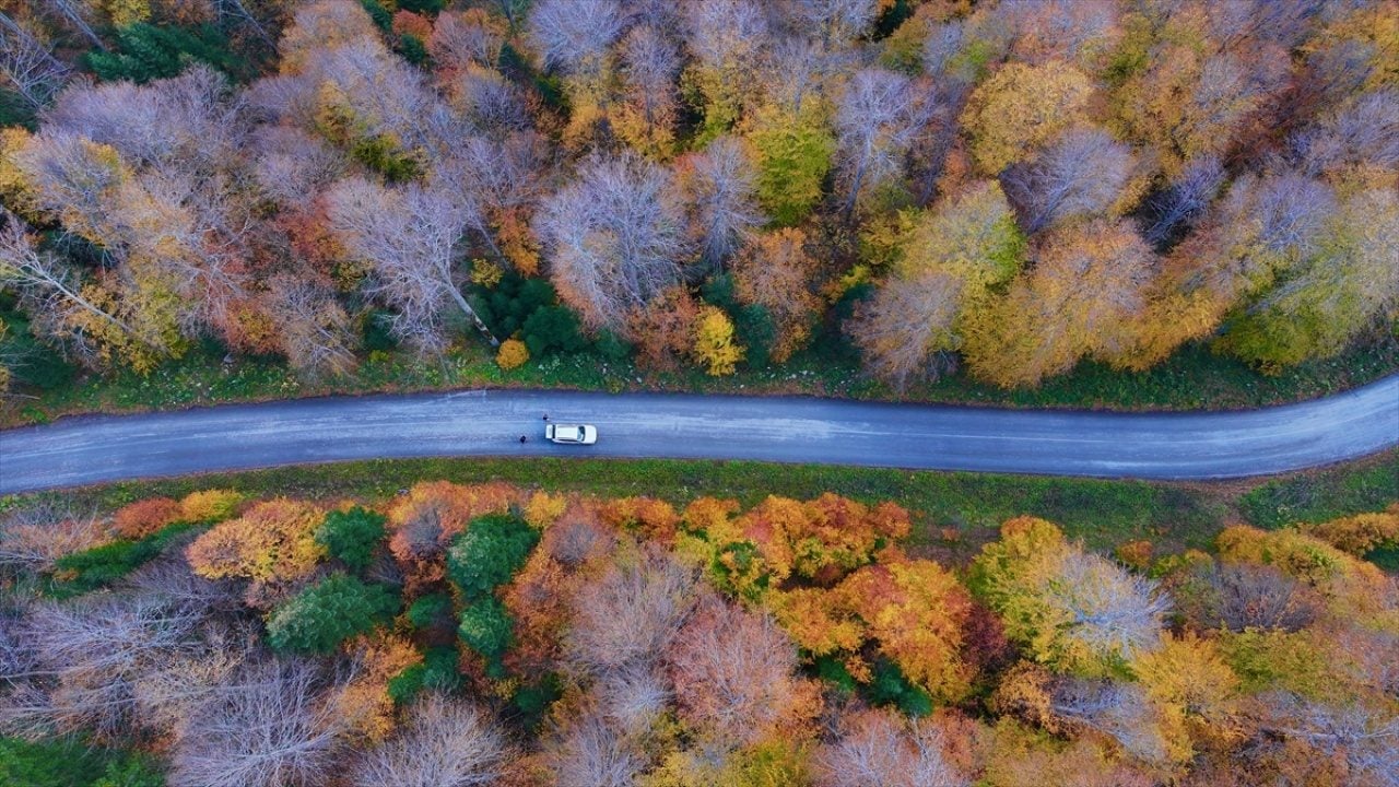 Foto - ‘Tabiatın Kalbi’nde sonbahar güzelliği