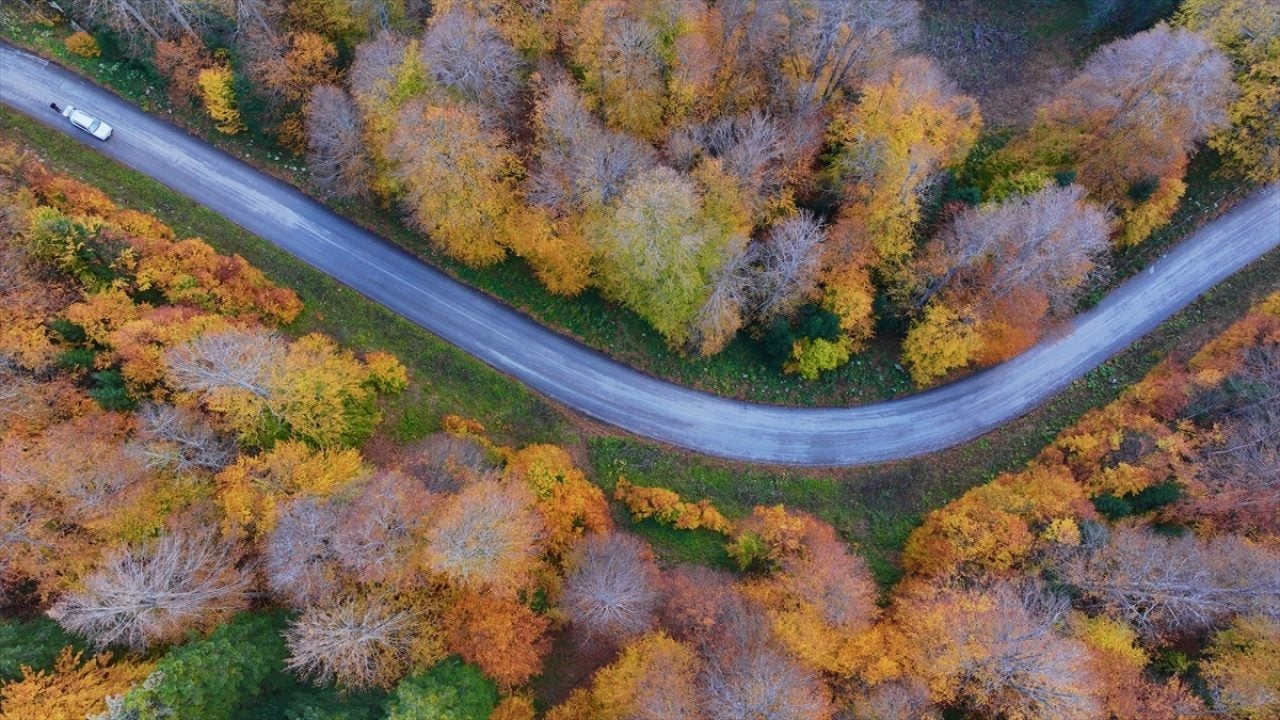 Foto - ‘Tabiatın Kalbi’nde sonbahar güzelliği