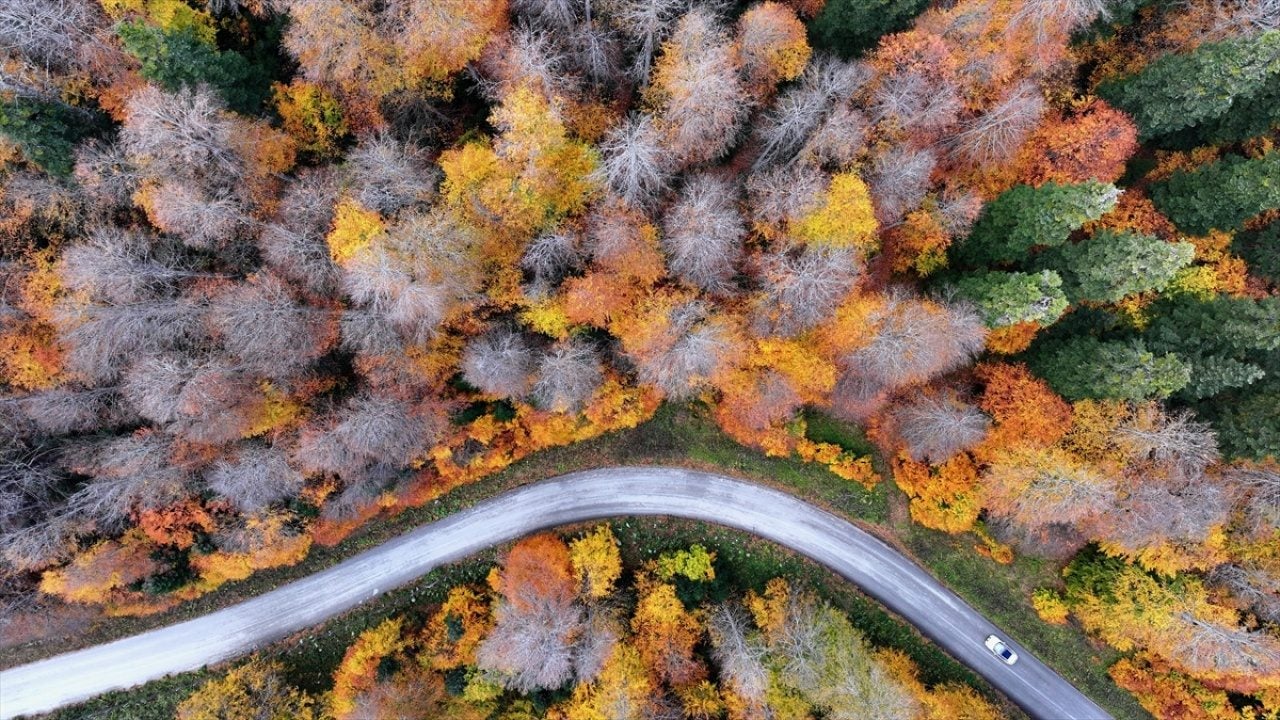 Foto - ‘Tabiatın Kalbi’nde sonbahar güzelliği