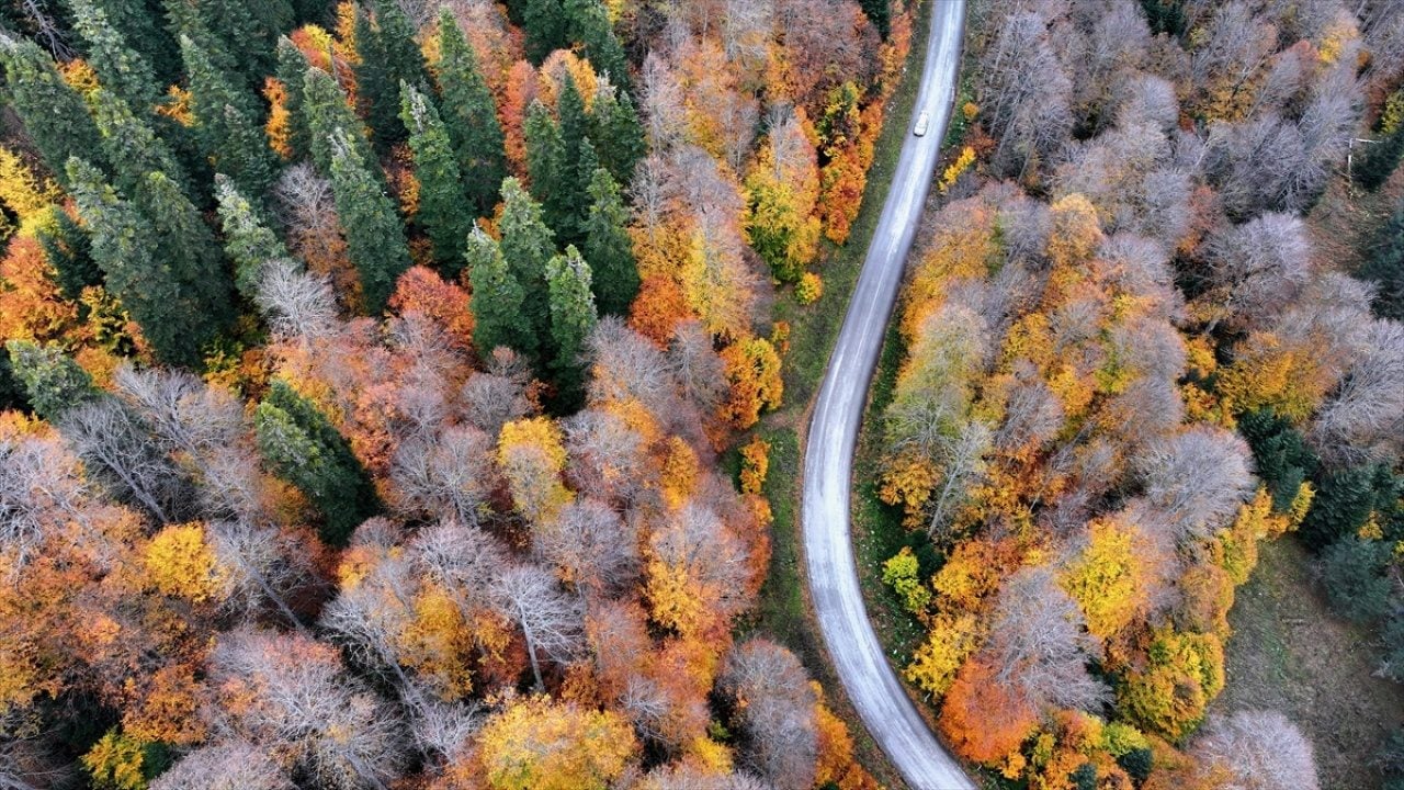 Foto - ‘Tabiatın Kalbi’nde sonbahar güzelliği