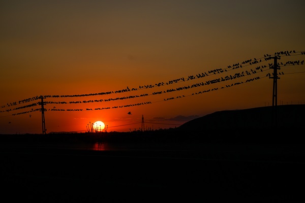 Foto - Tabloluk günbatımı manzarası