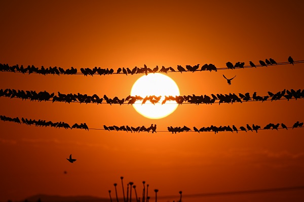 Foto - Tabloluk günbatımı manzarası