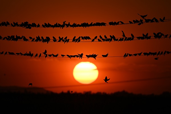 Foto - Tabloluk günbatımı manzarası