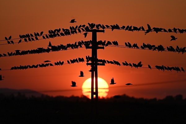 Foto - Tabloluk günbatımı manzarası