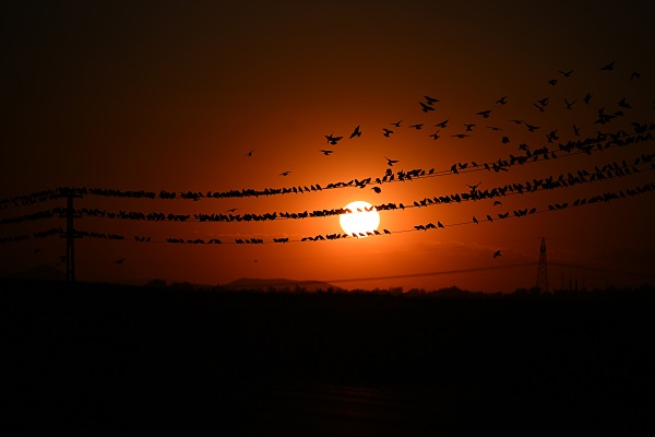 Foto - Tabloluk günbatımı manzarası