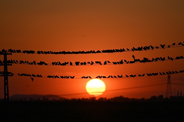 Foto - Tabloluk günbatımı manzarası