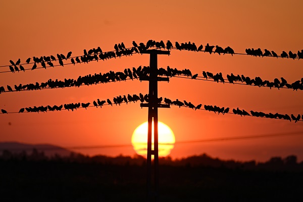Foto - Tabloluk günbatımı manzarası