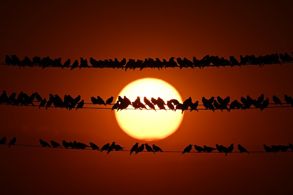 Tabloluk günbatımı manzarası