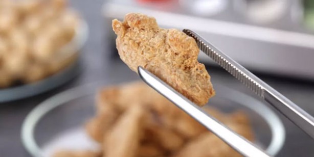 Foto - Tadı bozulmadık bir o kalmıştı ! Yapay tavuk etine ABD'den onay