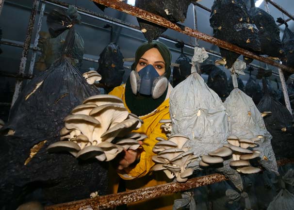 Foto - Tadını beğenip bu işe girdi, genç yaşta büyük para kazandı