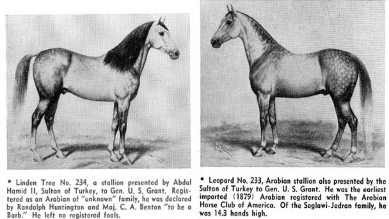 Foto - Tahmin bile edemeyeceksiniz! İstanbul’a gelen ilk ABD başkanına Sultan Abdülhamid bakın ne hediye etmiş