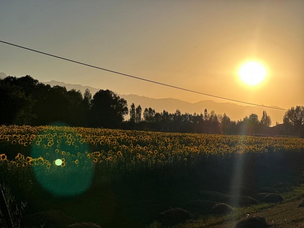 Foto - Tahmin bile edemezsiniz! Görenler Trakya sanıyor ama bakın neresi