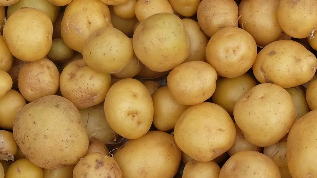 Foto - Tahmin ettiğinizden daha zararlı! Bu gıdaları buzdolabında saklarken iki kere düşünün