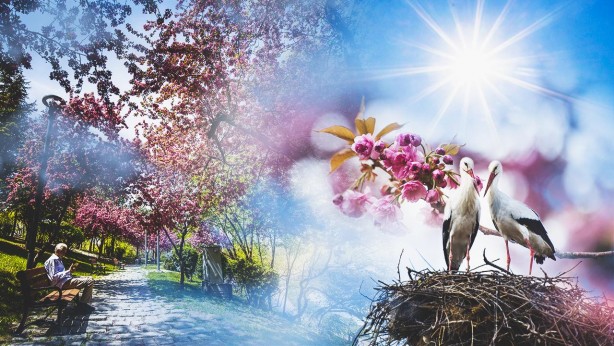 Foto - Tahminleri paylaşıyoruz! Yeni haftada hava nasıl olacak? 