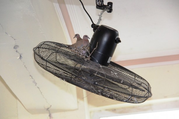 Foto - Takdir toplayan hareket! Belediye Başkanı duyurdu