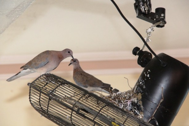 Foto - Takdir toplayan hareket! Belediye Başkanı duyurdu