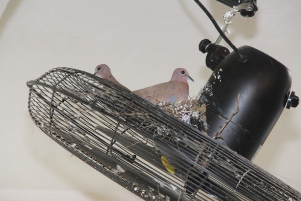 Takdir toplayan hareket! Belediye Başkanı duyurdu