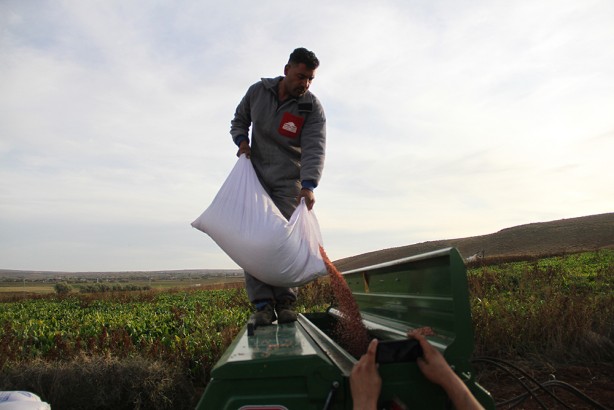 Foto - TAKE Projesi’yle 410 bin dekar arazi üretime kazandırıldı