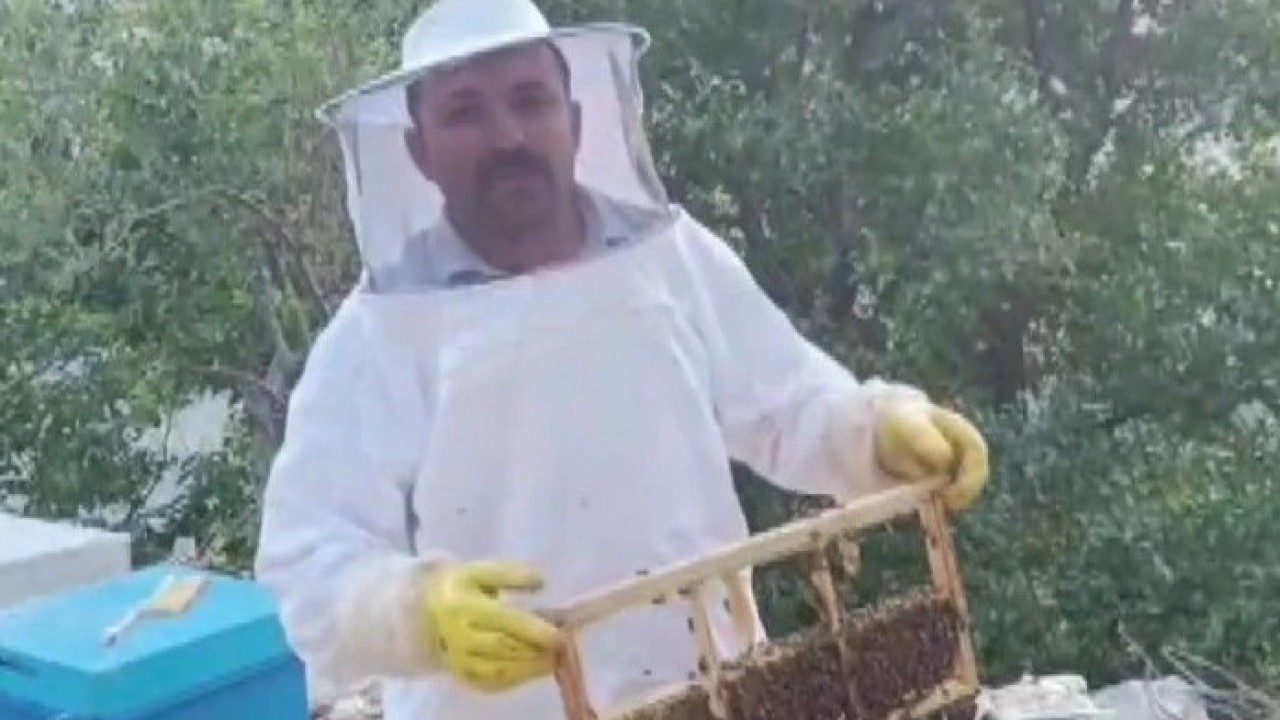 Foto - Tam 100 bin liralık zarar var! Kovanları parçalayıp balı afiyetle yedi