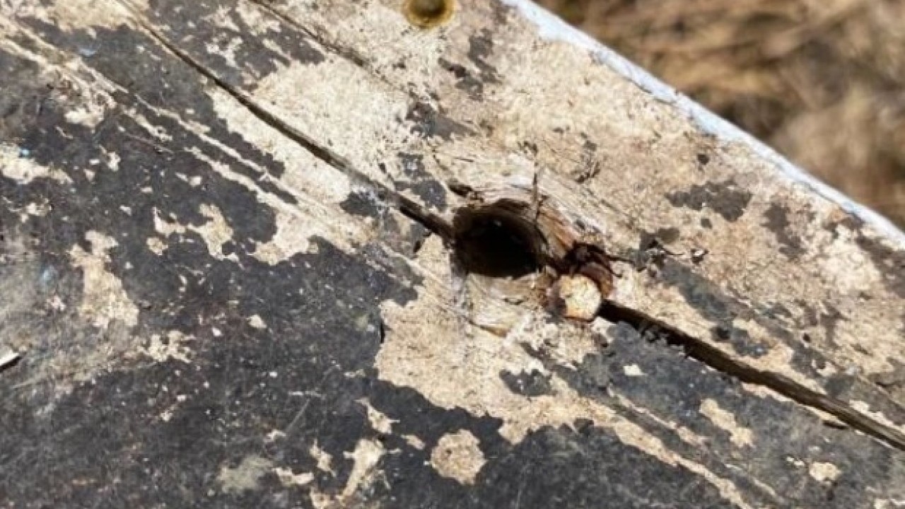 Foto - Tam 100 bin liralık zarar var! Kovanları parçalayıp balı afiyetle yedi