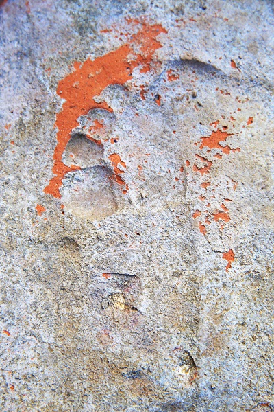 Foto - Tam 1900 yıllık! Gladyatörler kentinde çok konuşulacak keşif