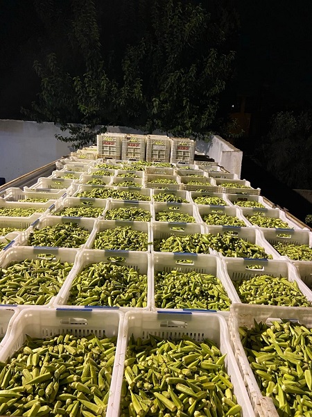 Foto - Tam 2 bin ton evlerde işleniyor! Ekonomiye 5 ayda 50 milyon TL’lik katkı